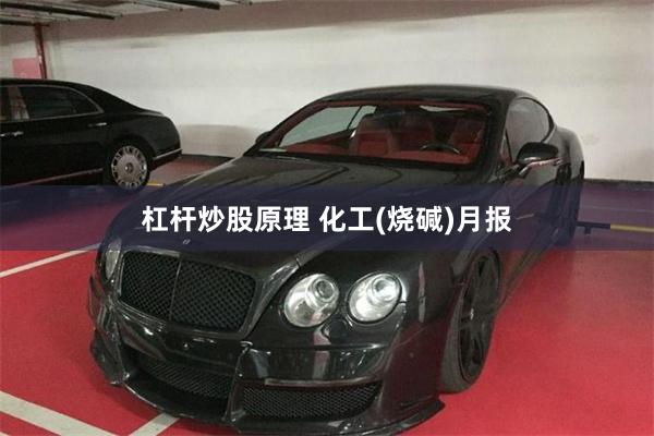 杠杆炒股原理 化工(烧碱)月报