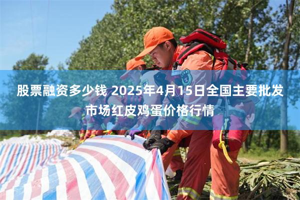 股票融资多少钱 2025年4月15日全国主要批发市场红皮鸡蛋价格行情