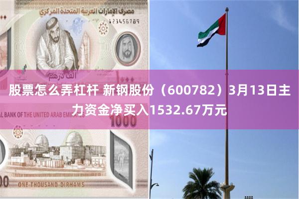 股票怎么弄杠杆 新钢股份（600782）3月13日主力资金净买入1532.67万元