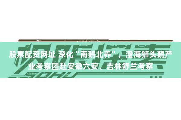 股票配资网址 深化“南鹅北养”，澄海狮头鹅产业考察团赴安徽六安、吉林舒兰考察