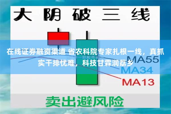 在线证劵融资渠道 省农科院专家扎根一线，真抓实干排忧难，科技甘霖润荔乡