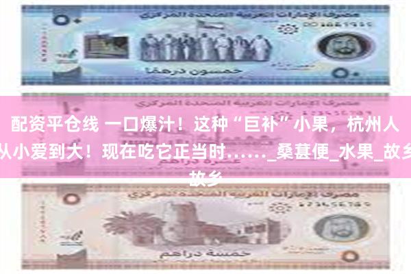 配资平仓线 一口爆汁！这种“巨补”小果，杭州人从小爱到大！现在吃它正当时……_桑葚便_水果_故乡
