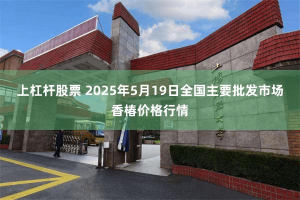 上杠杆股票 2025年5月19日全国主要批发市场香椿价格行情