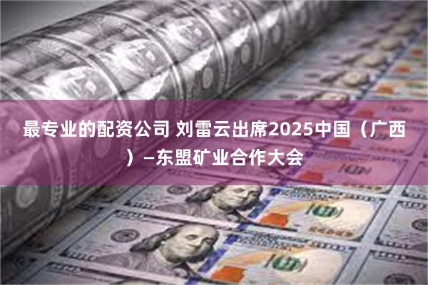 最专业的配资公司 刘雷云出席2025中国（广西）—东盟矿业合作大会
