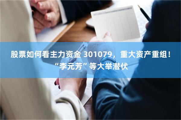 股票如何看主力资金 301079，重大资产重组！“李元芳”等大举潜伏